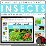 Insects | Digital Activities