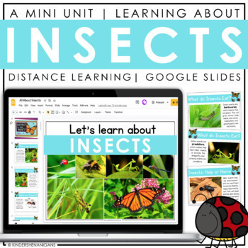 Preview of Insects | Digital Resources for Kindergarten