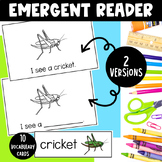 Insects Emergent Reader & Vocabulary Cards
