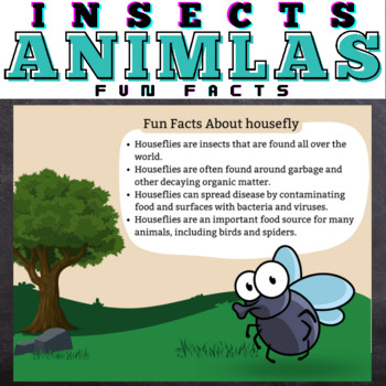 Preview of Insects FACTS - Google Slides™ Included