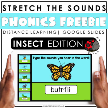 Preview of Insects FREEBIE