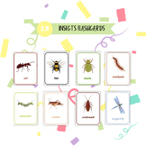 Insects Flashcards