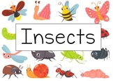 Insects Flipchart