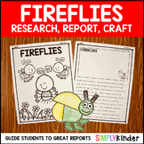 Bug & Insect Free Firefly Research Report & Craft for Kind