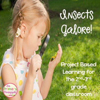 Preview of Insects Galore! PBL for the Primary Classroom