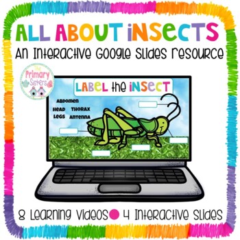 Preview of Insects Google Slides Google Classroom Resource