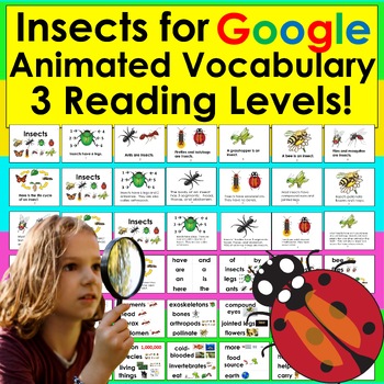 Preview of Insects Google Slides Presentation 3 Levels Illustrated Vocab Digital Resource