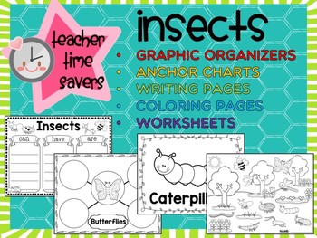 Preview of Insects SET 1: Graphic Organizers, Anchor Charts, Worksheets, Coloring, Posters
