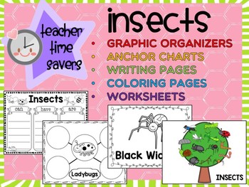 Preview of Insects SET 2 : Graphic Organizers, Anchor Charts, Worksheets, Coloring, Posters
