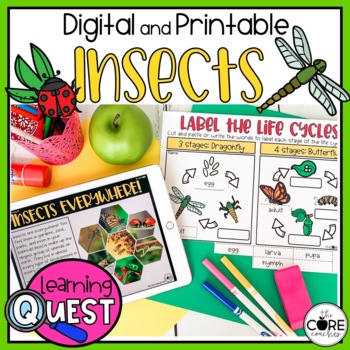 Preview of Insects Digital Activities - Spring
