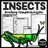 Insects Informational Text Reading Comprehension Worksheet