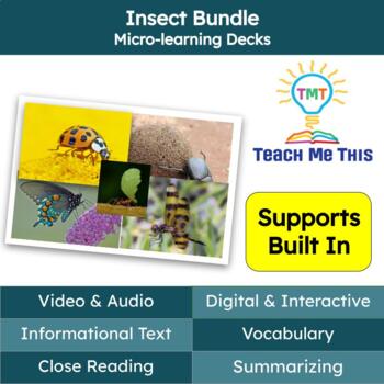 Preview of Insects Informational Text Reading Passage and Activities Bundle