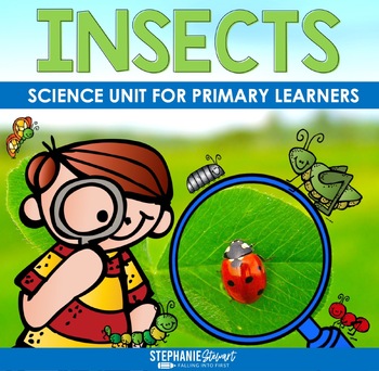 Preview of Bugs and Insects Study - Insect Craft, Vocabulary, Research Project, and more!