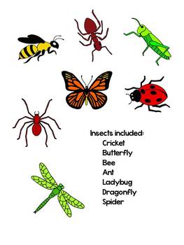 Insect Clip Art by Elizabeth McCarter | Teachers Pay Teachers