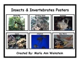 Insects & Invertebrates Posters