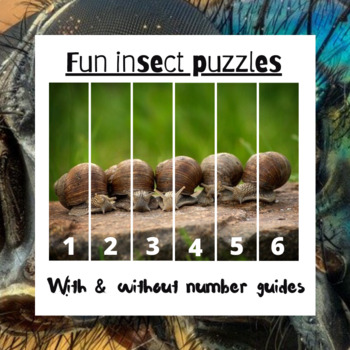 Insects | Jigsaw Puzzles | Baby and Toddler Activities | TPT