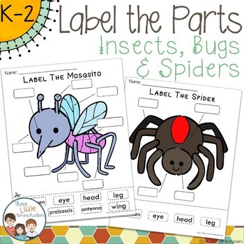 Preview of Insects Bugs and Spiders Labeling Center Activities