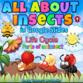 Insects | Life Cycle and Parts of an Insect in Google Slides