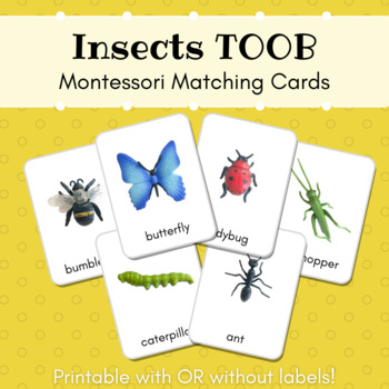 Preview of Insects Montessori Matching Cards (SafariLtd Toob) **EDITABLE**