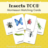 Insects Montessori Matching Cards (SafariLtd Toob) **EDITABLE**