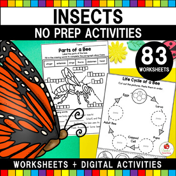 Preview of Bugs and Insects Activities | Life Cycle Worksheets Parts of an Insect Bee Ant