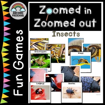 Preview of Interactive Insect Exploration: Zoom and Guess Activity Preschool/Kindergarten