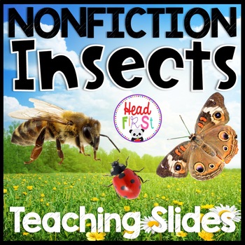 Preview of Insects Nonfiction Digital and Printable Slides, Books, and Activities