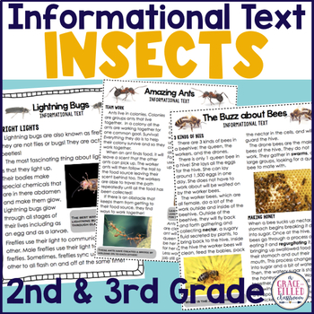 Preview of Insects Informational Text | All About Insects