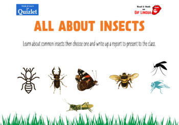 Preview of Insects Of The World.  Presentation. Research Template. Vocab. Presentation.