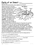 Insects - Parts of an Insect - Reading, Identifying  and Coloring activity