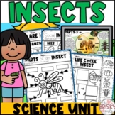 Insects Preschool | Insects and Bugs Preschool