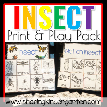 Insects by Sharing Kindergarten | Teachers Pay Teachers