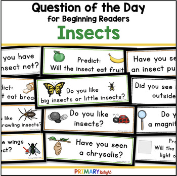Preview of Question of the Day Preschool for Spring with Insect Questions for Attendance