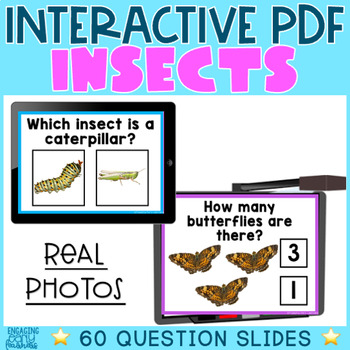 Preview of Insects REAL PHOTOS Interactive PDF Digital Activity