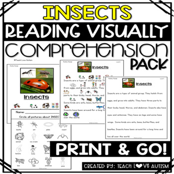 Preview of Insects Reading Comprehension Passages and Questions with Visuals
