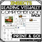 Insects Reading Comprehension Passages and Questions with Visuals