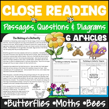 Preview of Insects Reading Passages & Questions with Graphic Organizer Writing Activities