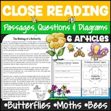 Insects Reading Passages & Questions with Graphic Organize