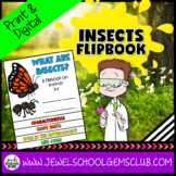 Insects Flip Book Science Activities | Characteristics Bod