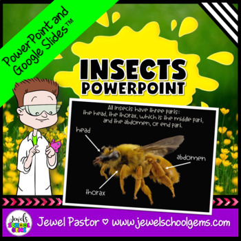 Preview of Insects and Spring Science Activities | PowerPoint with Google Slides and Quiz