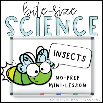 Preview of Insects | Science Mini-Lesson | PowerPoint & Google Slides