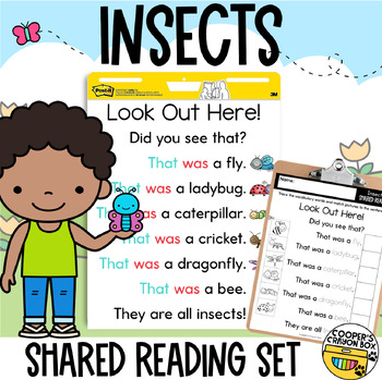 Preview of Insects | Shared Reading Poem | Project & Trace