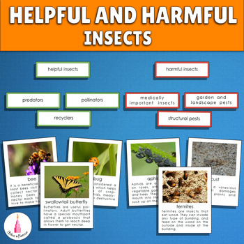 Preview of Insects Sorting Activity - Helpful and Harmful Insects Printable