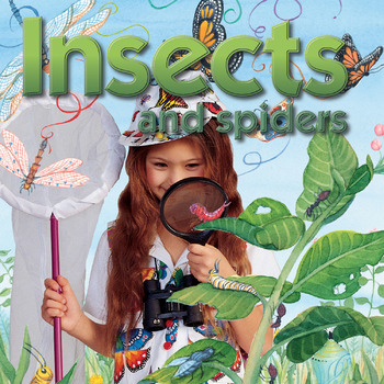 Preview of Insects & Spiders