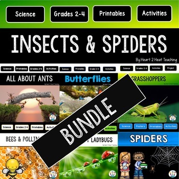 Preview of Bugs and Insects Bundle With Reading Comprehension Passages Activities Spiders