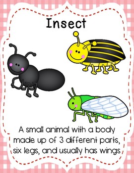 Insects Study Definition Posters by Preschool Productions | TpT