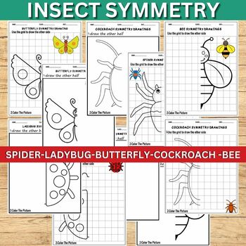 Preview of Insects Symmetry Drawing Activity- 2 Levels ,Ladybug,Spider,Cockroach..