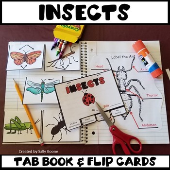 Preview of Insects - Tab Book, Flip Cards, Label Worksheet Interactive Notebook