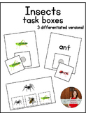 Insects Task Box Activities - Autism Classroom/Special Education