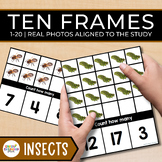 Insects Task Cards Creative Curriculum Preschool Ten Frame